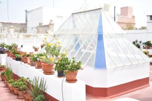 Zahrada ubytování Apartamento La Discusión de Veedor 12