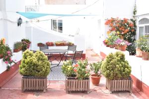 Zahrada ubytování Apartamento La Discusión de Veedor 12 + 21 fotografií