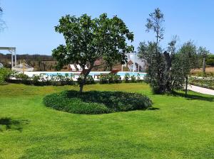 The swimming pool at or close to Masseria Vignenove
