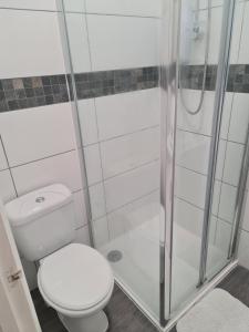 a bathroom with a toilet and a shower at Cosy Lodge in Thornton Heath