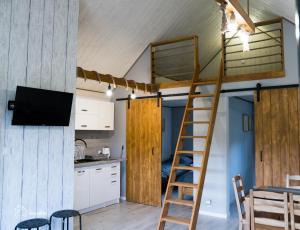 a loft bed in a tiny kitchen with a tv at BiesCzadowa Dolina in Ustrzyki Dolne
