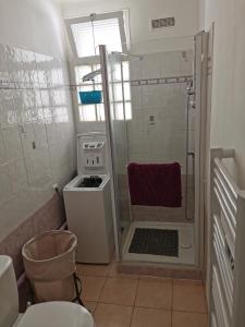 La petite salle de bains est pourvue d'une douche et de toilettes. dans l'établissement STUDIO 2 étoiles Rénové Proche des THERMES, à Lamalou-les-Bains