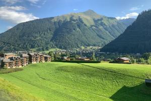 a large green field with a mountain in the background at Modern Comfortable Chalet with large terrace in Morzine