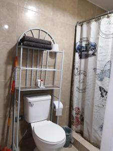 a bathroom with a toilet and a shower curtain at Anexo independiente y privado totalmente amueblado muy lindo y acogedor in Panama City