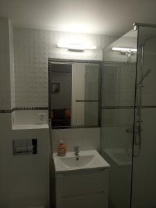 a bathroom with a sink and a shower with a mirror at BiesCzadowa Dolina in Ustrzyki Dolne