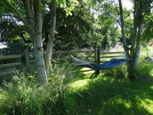 Colkirk的住宿－The Oaks Glamping - Jasper's Shepherds Hut，围栏旁的院子内的吊床