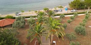 - une vue aérienne sur une plage bordée de palmiers dans l'établissement KRISSAIA SEASIDE SUITES, à Galaxidi