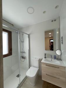 La salle de bains est pourvue d'une douche, de toilettes et d'un lavabo. dans l'établissement Casa Rural La Costana de Barbadillo, à Barbadillo del Mercado
