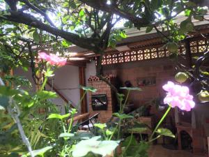 Zahrada ubytování Villa Ester Hostel Vereda Cay