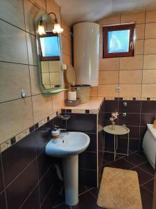 a bathroom with a sink and a mirror at Apartments Aleksandra Cetinje in Cetinje