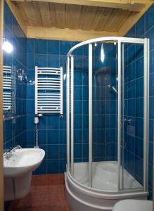a blue tiled bathroom with a shower and a sink at Willa Orla in Zakopane