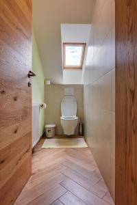 a bathroom with a toilet and a window on the ceiling at Rooms Pevc & Hostel Ljubno ob Savinji in Ljubno