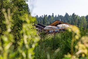 una casa en medio de un campo de árboles en Парк-готель Щастя en Skhidnitsa