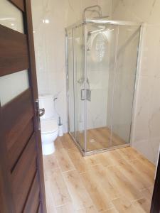 a bathroom with a shower and a toilet at Apartament Wydminy in Wydminy