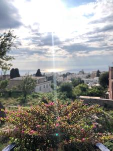 Fotografia z galérie ubytovania Capri Sun v destinácii Anacapri