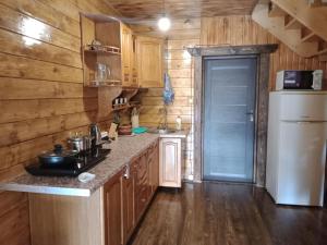 a kitchen with wooden walls and a refrigerator and a counter at Садиба На скелі in Krivorovnya