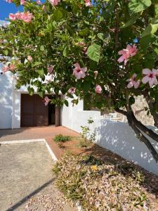 Vonkajšia záhrada v ubytovaní Villa Bella Vista