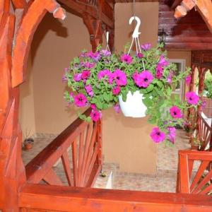 Afbeelding uit fotogalerij van Pensiunea Fábián Vendégház in Corund +152 foto's