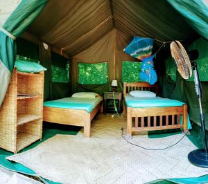 Letto o letti in una camera di Firefly Eco Retreat