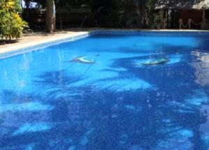 Piscina di Firefly Eco Retreat o nelle vicinanze