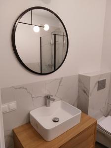 une salle de bain avec un lavabo et un miroir au mur dans l'établissement Apartament LindEGO, à Toruń 11 autres photos