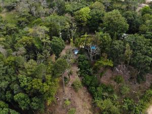 an overhead view of a forest with a house in the middle at Plasencia Estate in Omoa