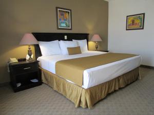 een groot bed in een hotelkamer met 2 lampen bij Best Western Hotel Posada Del Rio Express in Torreón