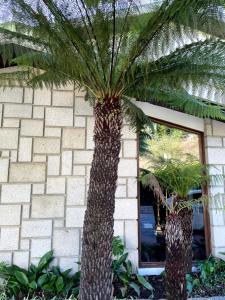 two palm trees in front of a building at Santiago Family House in Sever do Vouga