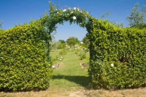 Zahrada ubytování Odina Agriturismo + 26 fotografií