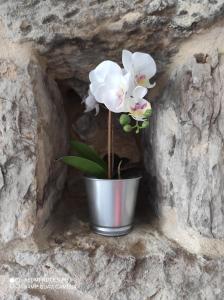 Zdjęcie z galerii obiektu La casita del abuelo w mieście Galizano