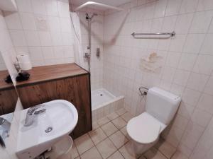 Koupelna v ubytování Interlaken apartment 27