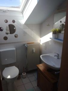 a bathroom with a white toilet and a sink at Ferienwohnung Adlerhorst in Unterwössen