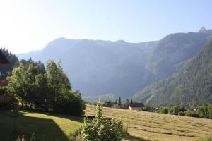 Przyroda w pobliżu tego obiektu B&B