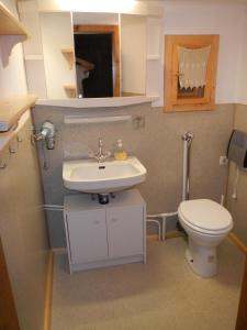 ein kleines Bad mit einem Waschbecken und einem WC in der Unterkunft Ferienhaus Vollspora in Schruns-Tschagguns
