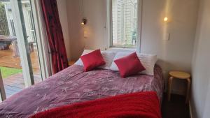 Un dormitorio con una cama con almohadas rojas y una ventana. en 9 Leamington Street, en Hanmer Springs