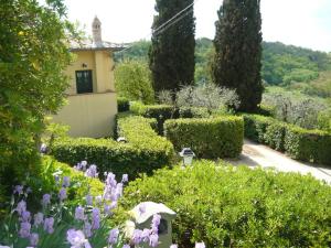 Vonkajšia záhrada v ubytovaní Farmhouse in Tuscany near San Gimignano