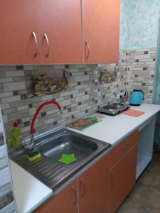 a kitchen sink with a red faucet at 1 комнатная квартира в центре Мукачева, улица Мира in Mukacheve