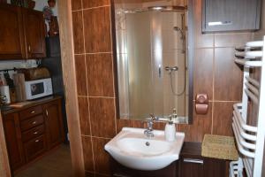 a bathroom with a sink and a shower at Zagajnik Holiday House in Sucha Rzeczka
