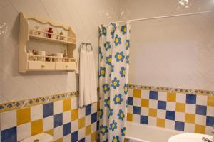 y baño con cortina de ducha y lavamanos. en Casa Rural Nijata, en Valencia del Mombuey