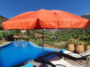 einen orangenen Regenschirm neben einem Pool in der Unterkunft Kasbah Africa in Ouirgane