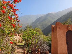 Galería fotográfica de Kasbah Africa - High Atlas Dark Sky & Nature Lodge en Ouirgane 65 fotos más