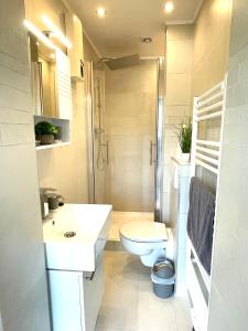 a white bathroom with a toilet and a shower at Ferienhaus Sonnendeck 2 in Simmerath