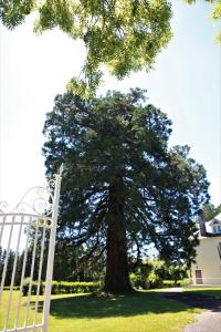 a white gate in front of a large tree at HOSTELLERIE LA BRUYERE in Chalvignac