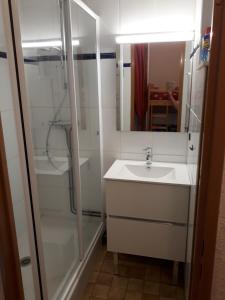 a bathroom with a shower and a sink and a mirror at Studio - Les Hauts d'Azur in Saint Pierre La Mer