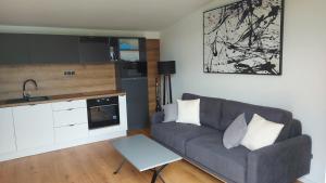 sala de estar con sofá y mesa en Apartman Cassovia, en Holčíkovce