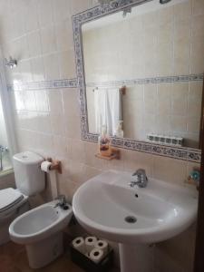 a bathroom with a sink and a toilet and a mirror at Casa Rural del Chopo in La Aliseda de Tormes