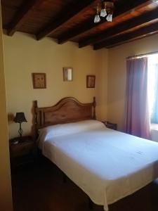 ein Schlafzimmer mit einem großen Bett und einem Fenster in der Unterkunft Casa Rural del Chopo in La Aliseda de Tormes