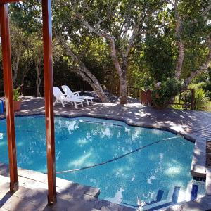 una pequeña piscina con mesa y sillas en Protea Lodge and Cottage en Puerto Elizabeth