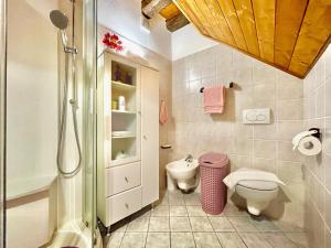 a bathroom with a shower and a toilet and a sink at Casa Brenzio Rustico in Consiglio di Rumo