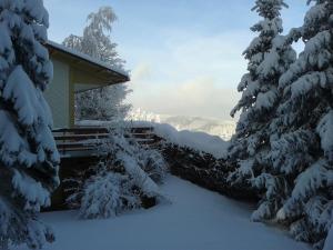 domek na śniegu z drzewami pokrytymi śniegiem w obiekcie Haus Brockenblick w mieście Gehlberg